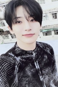 FTO 專輯卡 WHO ver.