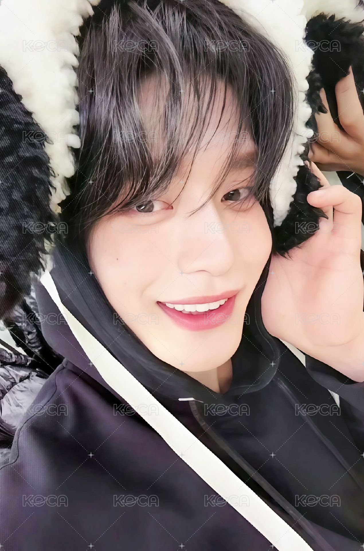 迷五 ms 幸運卡 小狗 ver. 正面