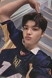 NOW 專輯卡 通常盤專卡