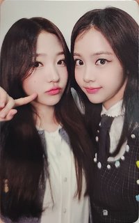 單一 wvs 直播卡 