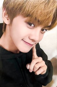 世巡TW 周邊卡 故事書固配卡