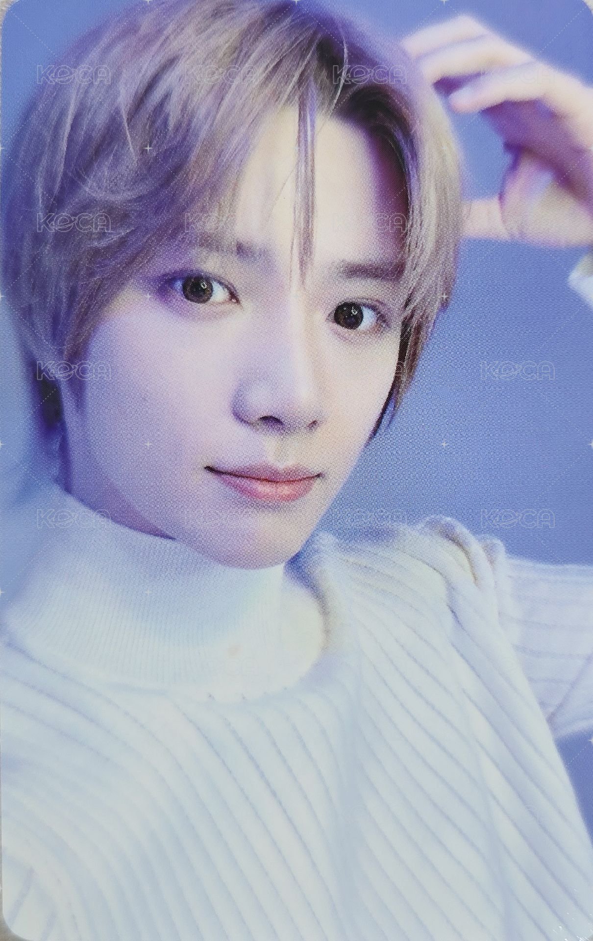 迷七 wvs 單封版 特典卡 studio choom sc 正面