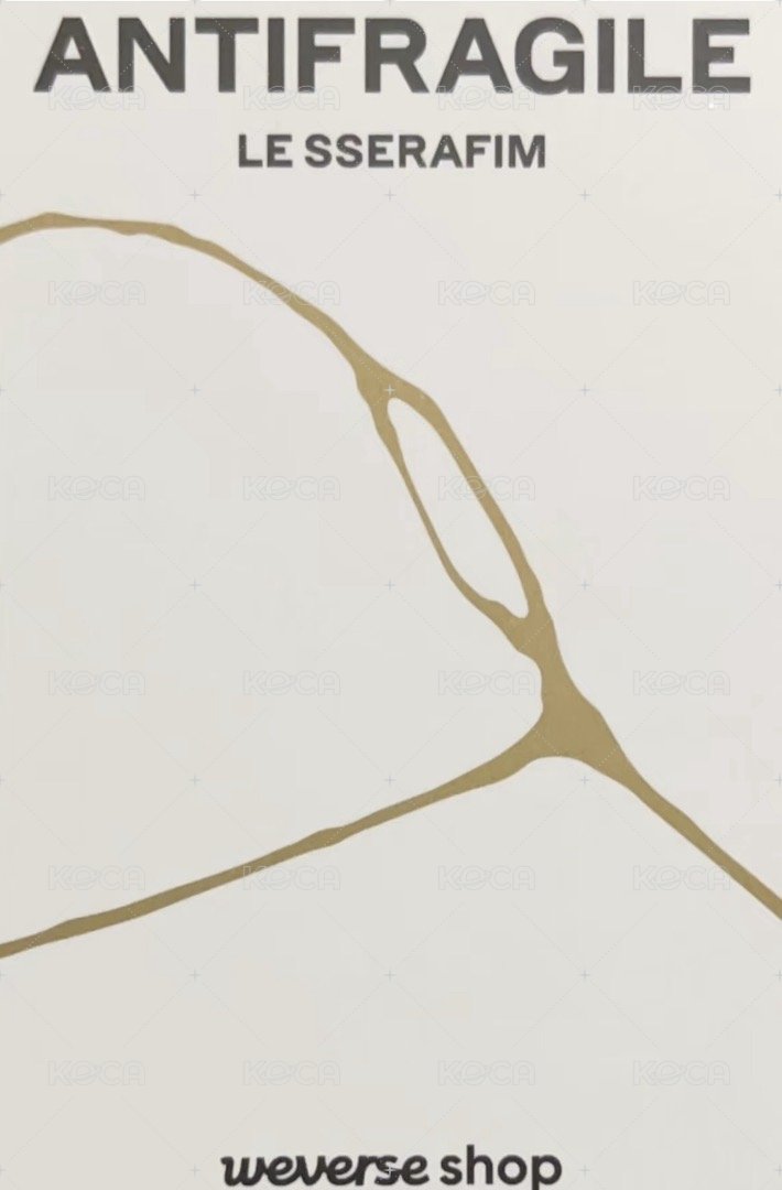 迷二 wvs 2.0 簽售卡 雪帽采 背面