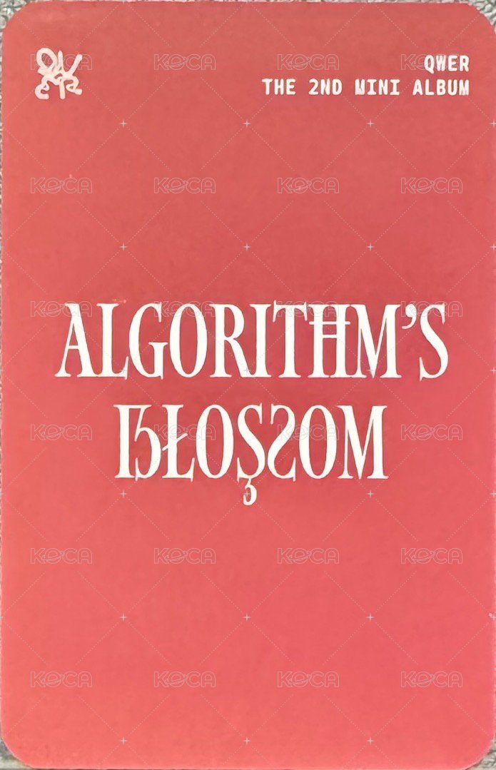 迷二 Kpopstore 線下 2.0 簽售卡 裝飾 R 背面