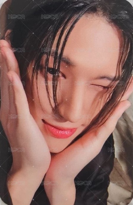 WILL TOKTOQ 特典卡  正面