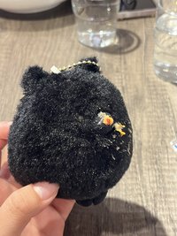 水餃愛吃義大利麵