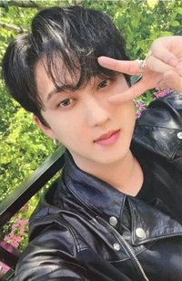 MAXIDENT 蝦皮 特典卡 