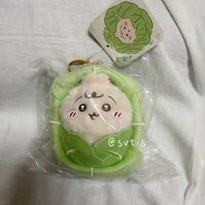 全新日本帶回🇯🇵✈️吉伊卡哇 高麗菜 烏薩奇 寶寶 兔兔