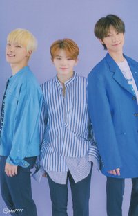 OTY演唱會 隨機卡 卡包卡