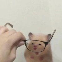 揪揪