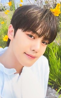 迷一 sw 2.0 幸運卡 