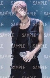 BTL 塔店 特典卡 