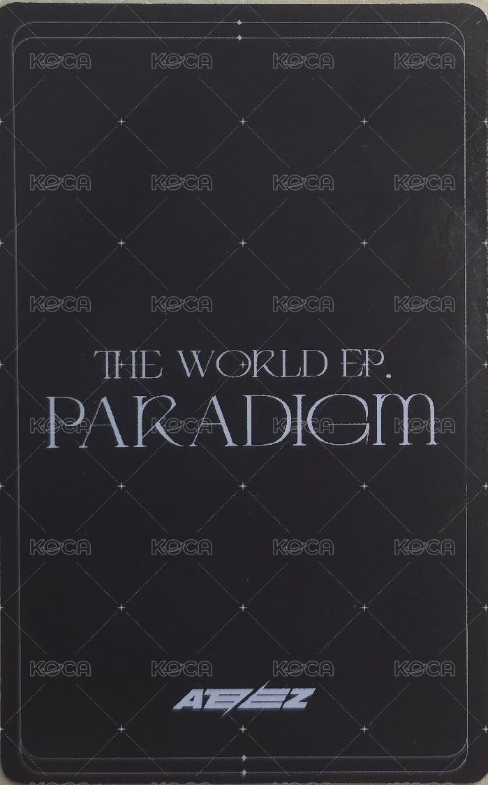 Paradigm 專輯卡 個別盤 背面
