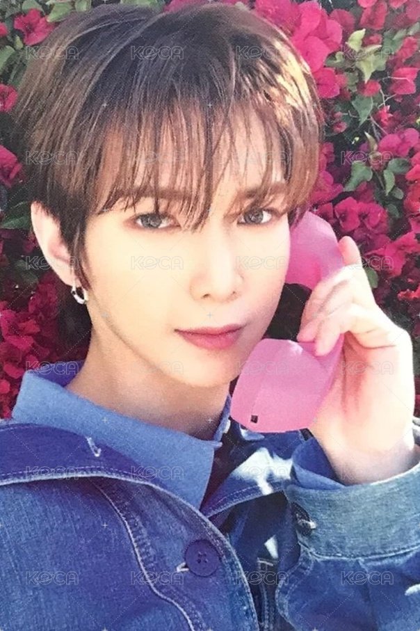 GH1 MINIRECORD 特典卡  正面