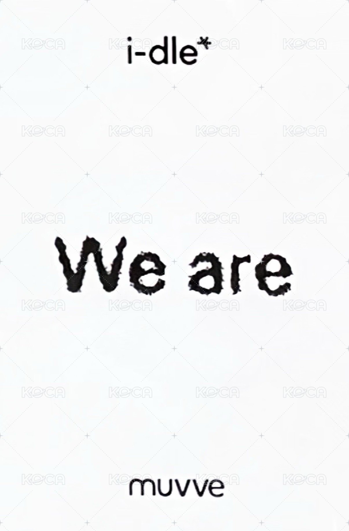 We are mu 特典卡 特典 背面