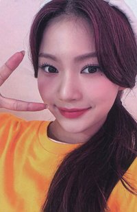 泰迪熊 wm 預售 特典卡 