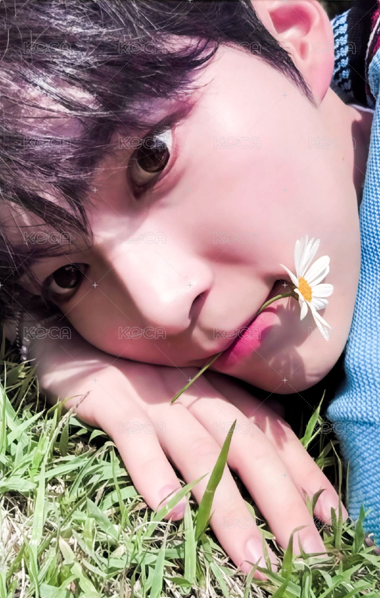 二期會員 會員禮卡  正面