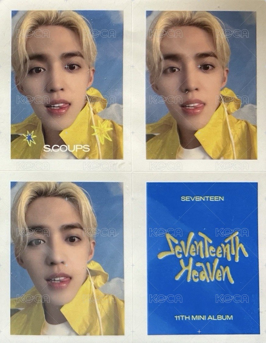 MINI11 wvs carat ver. 特典卡 雨衣盤特典 背面