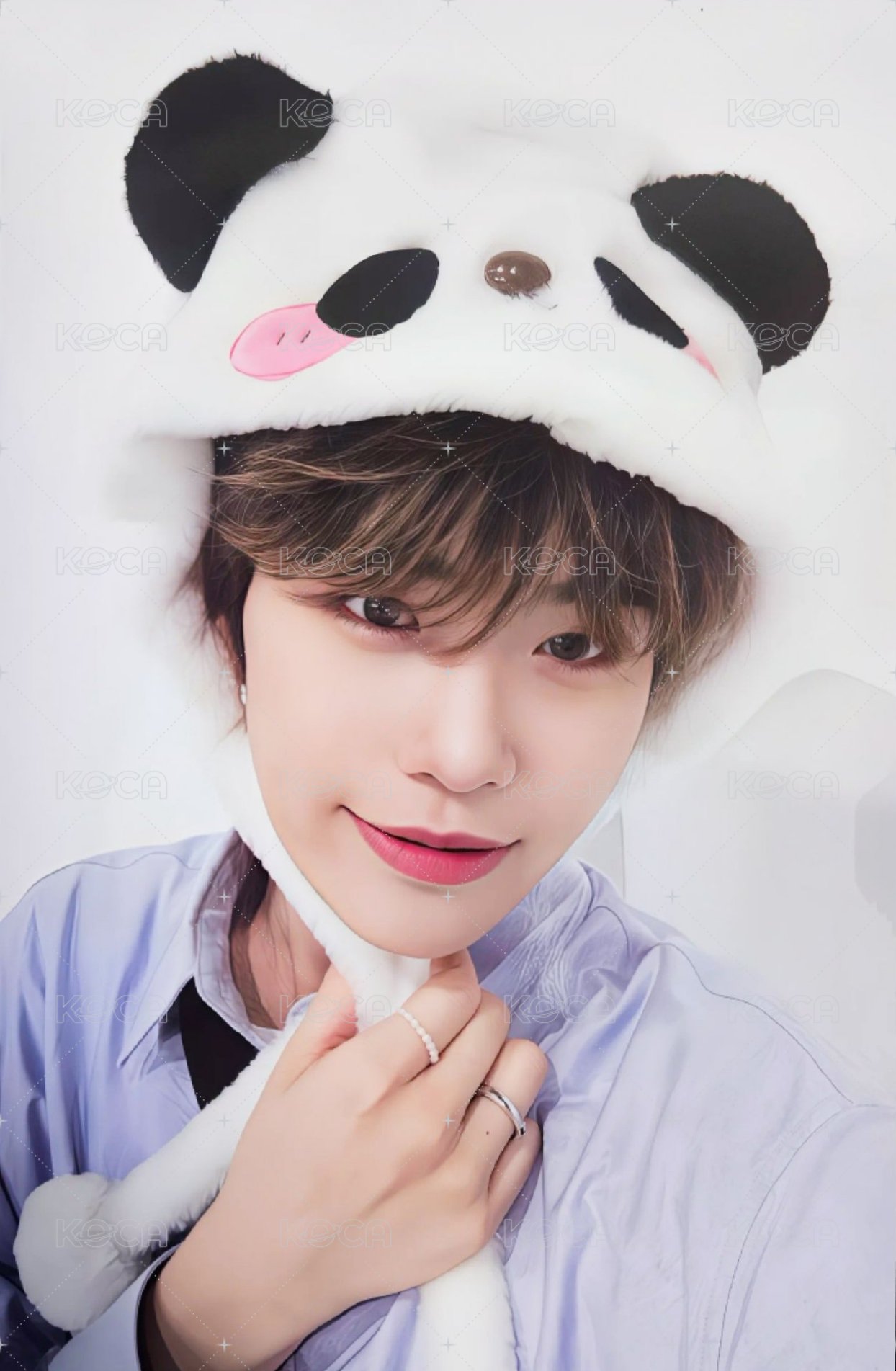 迷一 ms 2.0 特典卡 熊貓 ver. 正面