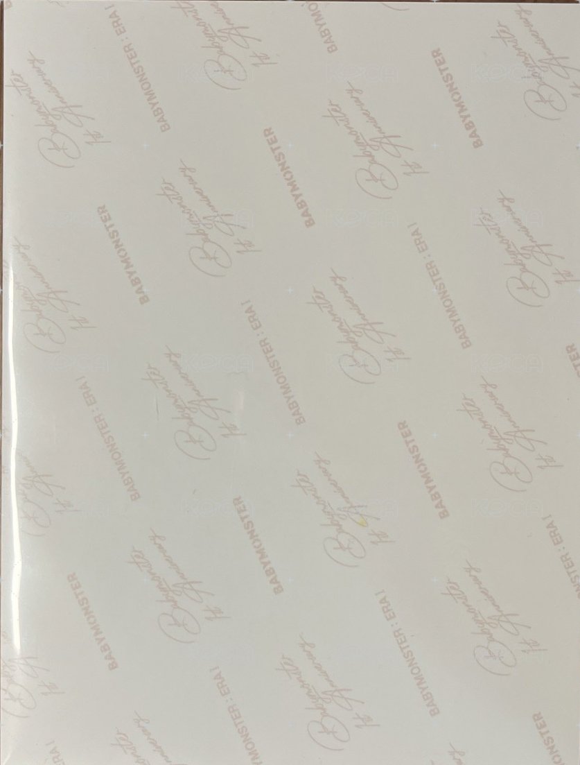 一週年寫真書 明信片  背面