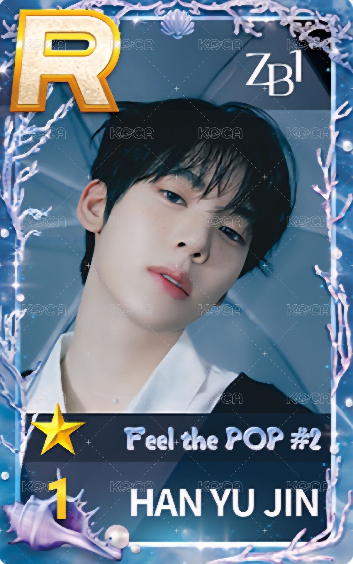 遊戲卡 夏日2.0 正面