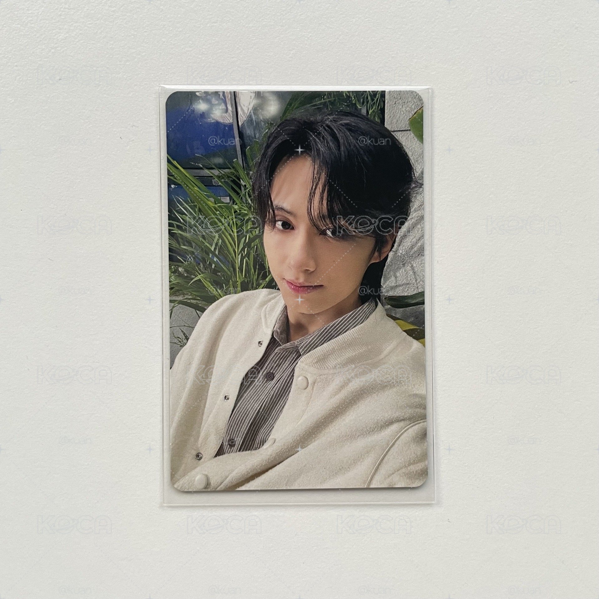 SEVENTEEN JUN 消費期限專卡