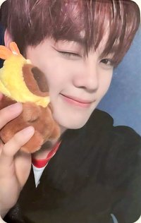 迷四 sw 幸運卡 卡皮巴拉 ver.