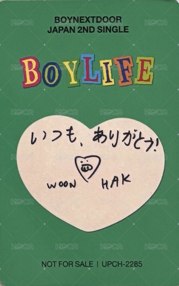 BOYLIFE 專輯卡 單封版 6 背面