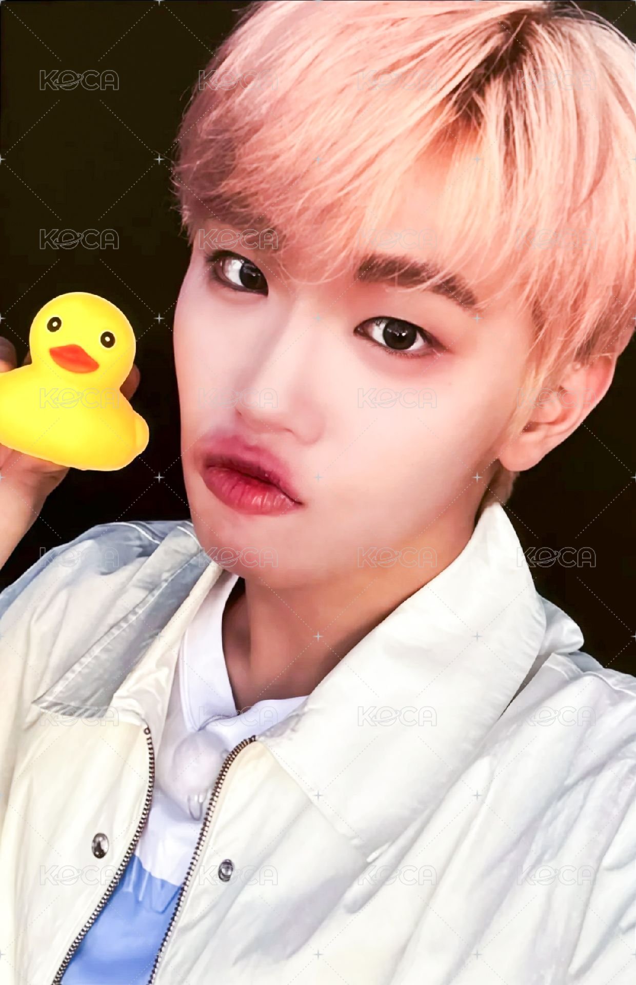 迷四 sw 特典卡 鴨子 ver. 正面