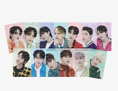 Seventeen Follow Pet photo card set