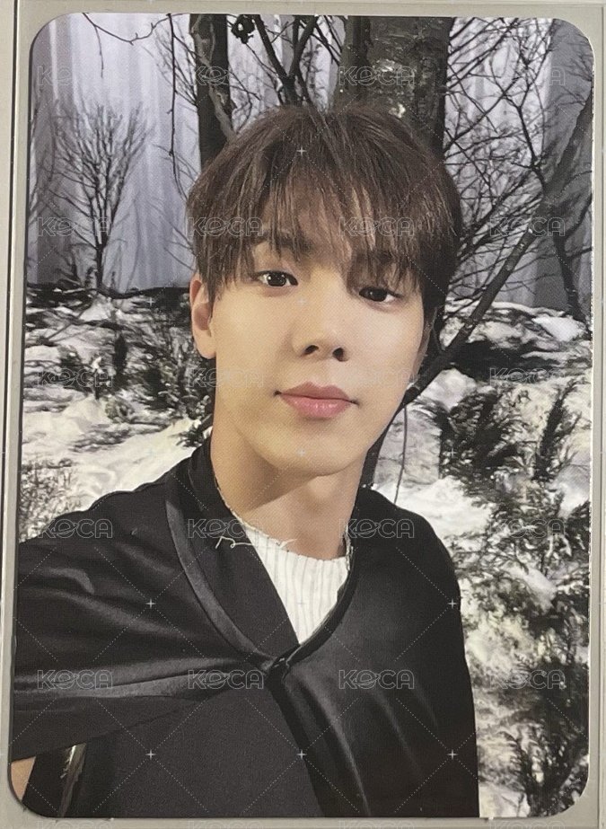 THE X 專輯卡  正面