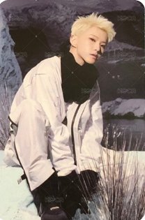 正四後續 wvs PB 特典卡  正面