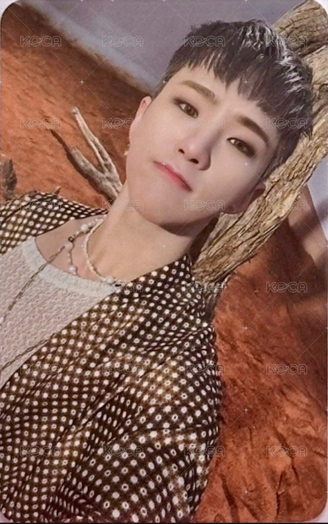 正四 wvs 簽售卡  正面