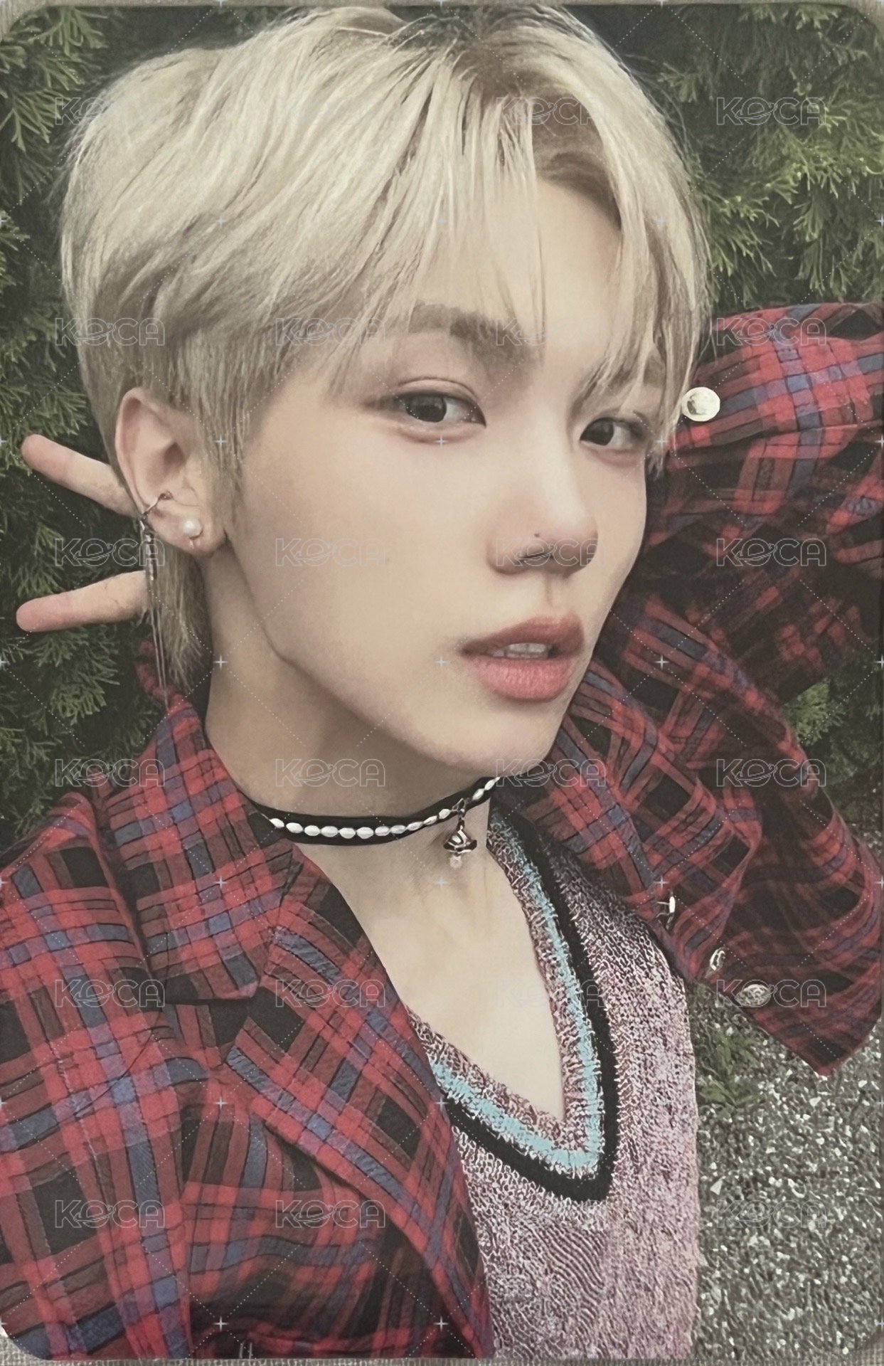 SUN SEEKER 專輯卡  正面