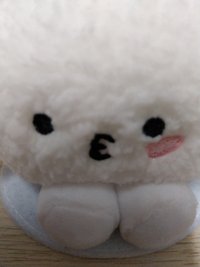 喔姆