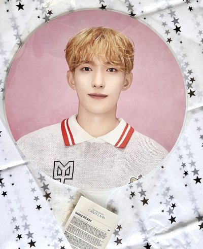 碩黑扇 粉扇 飯咪扇（皆全新未拆）