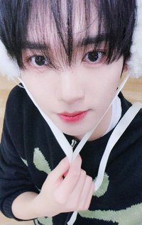 迷五 ms 幸運卡 小狗 ver.