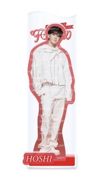 Follow Again 日巡 立牌 