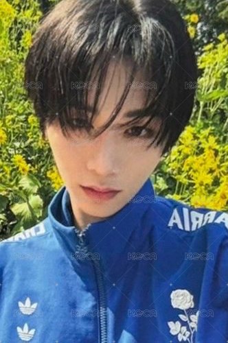 The Action 專輯卡 單封版 正面