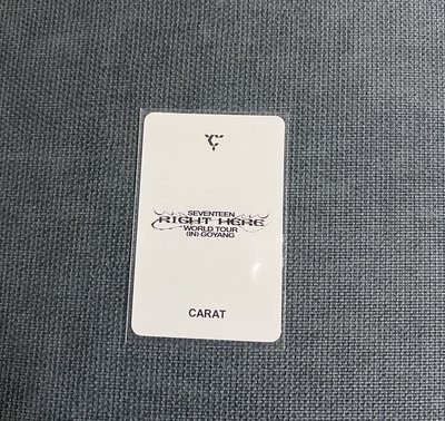 seventeen right here zone卡 燦