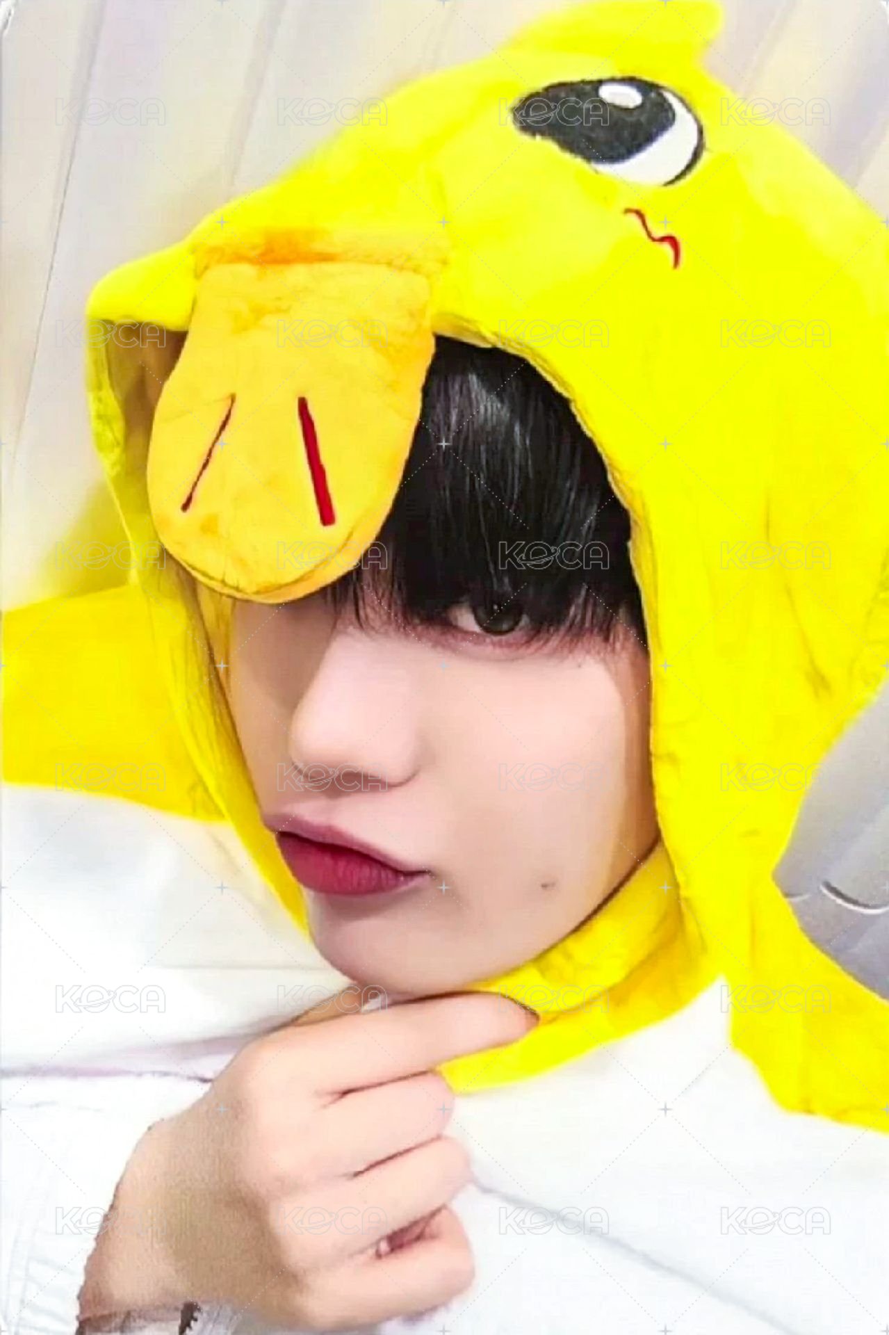 迷五 ms 1.0 簽售卡 動物睡衣 ver. 正面