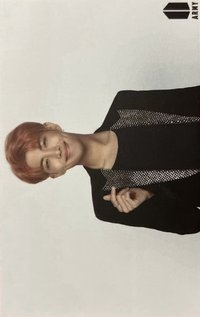 Wings Tour 入場卡 / 場限卡 Final 米粽卡