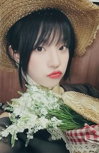 正規二 ms 16.0 簽售卡 