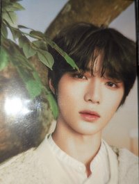 24’巡迴 周邊卡 卡冊卡