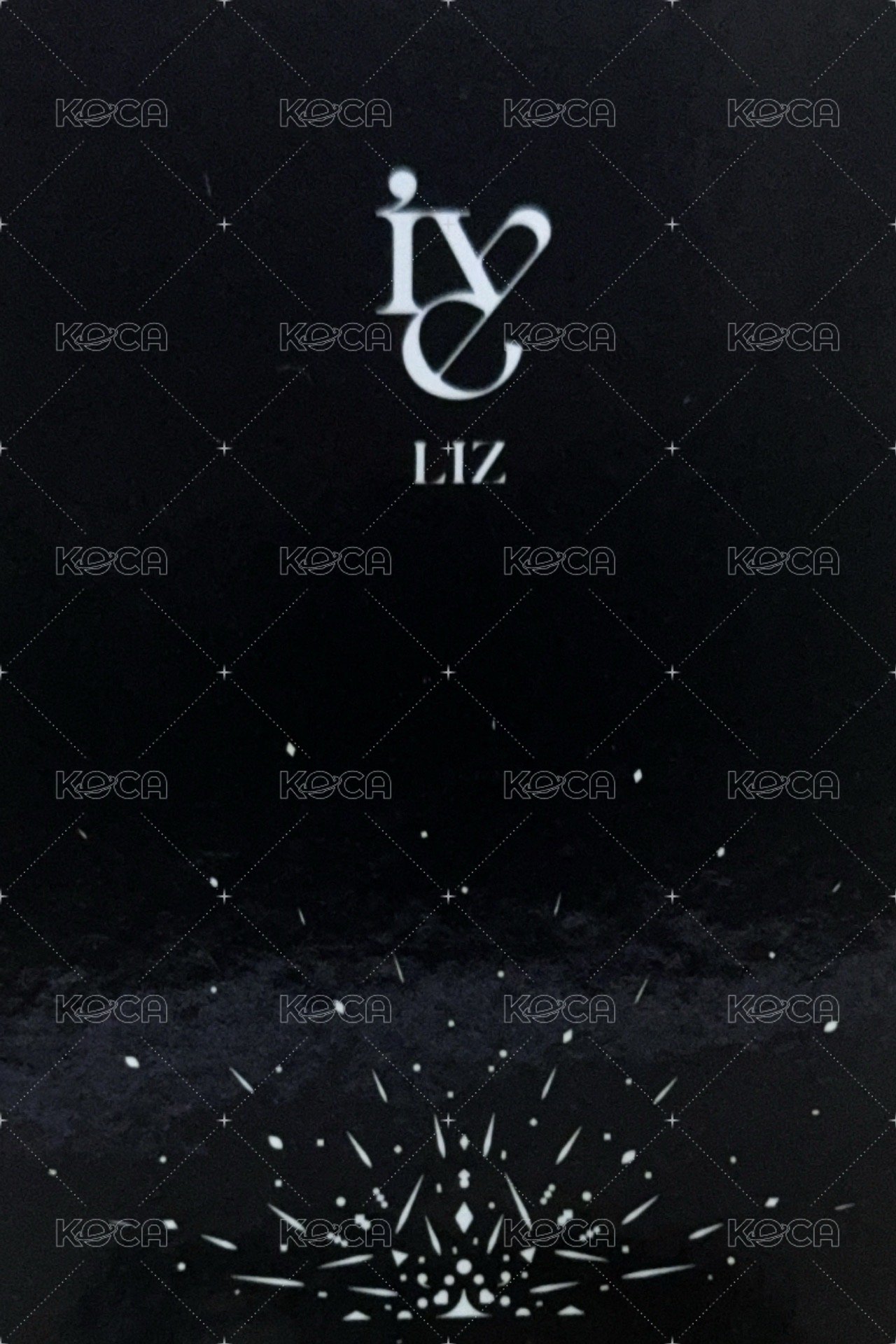 ELEVEN 船特 特典卡  背面