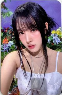 25’ 世巡 入場卡 / 場限卡 二巡VIP入場