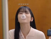 安波波的小狗勾
