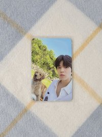 Stay in STAY in Jeju 狗次方3.0(小盤)