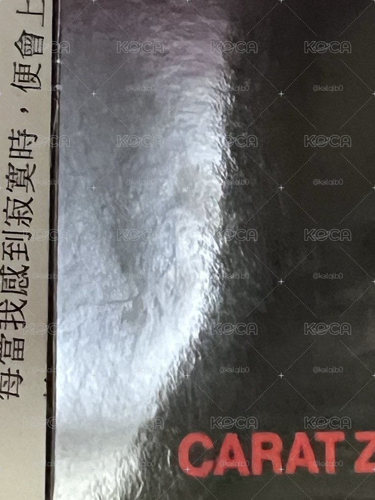 SEVENTEEN HOSHI WOOZI 豪雨 克拉粽