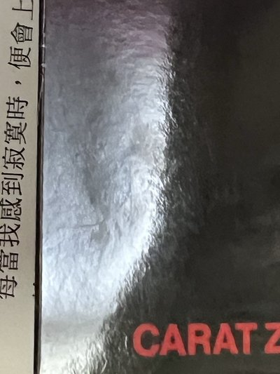 SEVENTEEN HOSHI WOOZI 豪雨 克拉粽